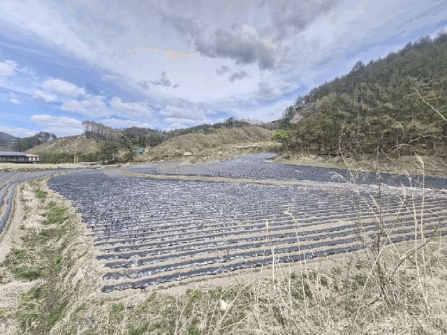 B000264202501300305993.jpg