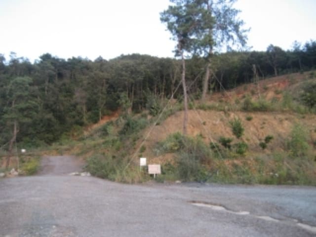 B000270202001300074944.jpg