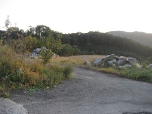 B000270202001300074943.jpg