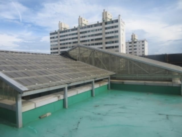 B000270202301300564804.jpg