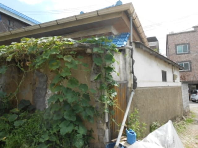 B000270202401300037043.jpg