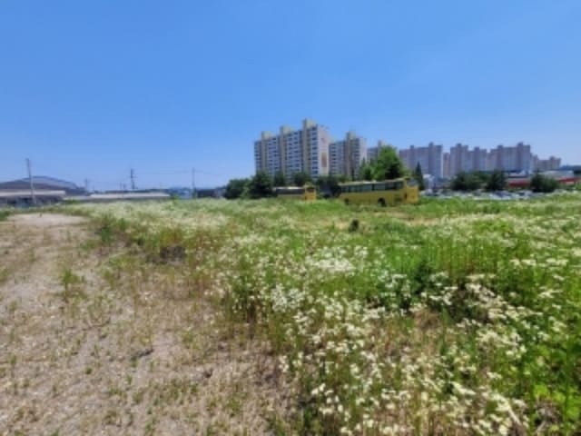 B000270202401300562654.jpg