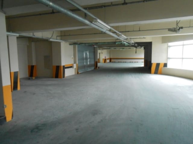 B000270202401300566922.jpg