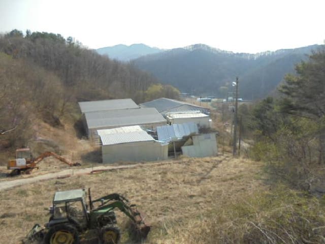 B000270202501300016443.jpg
