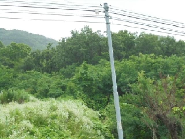 B000270202501300027081.jpg