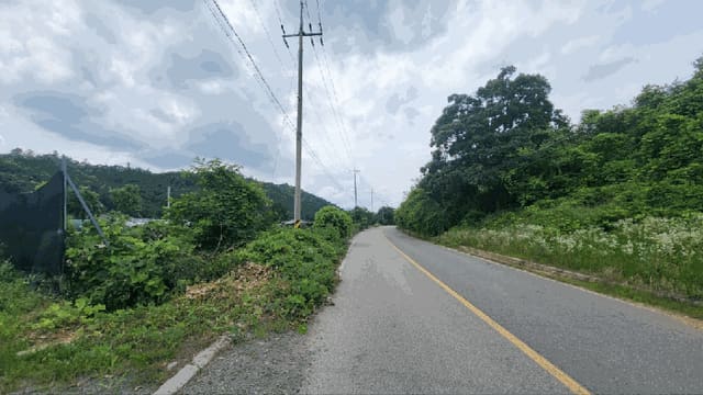 B000270202501300027082.jpg