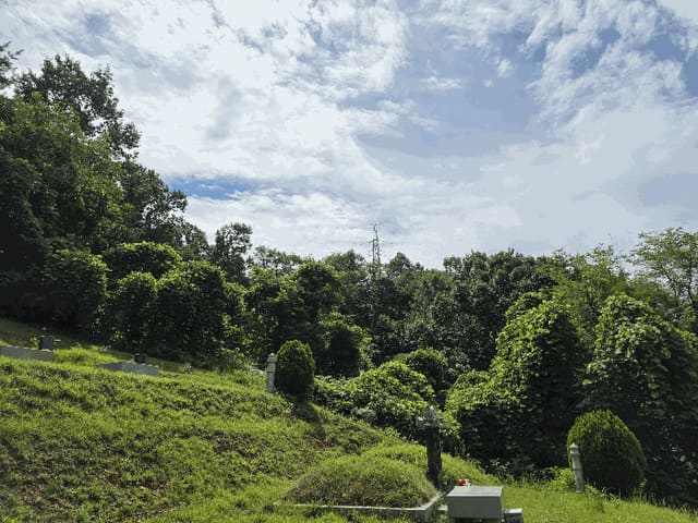 B000270202501300038243.jpg