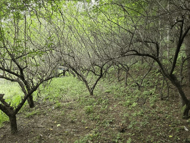 B000270202501300038244.jpg