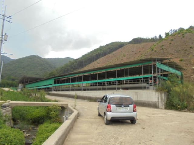B000270202501300039303.jpg