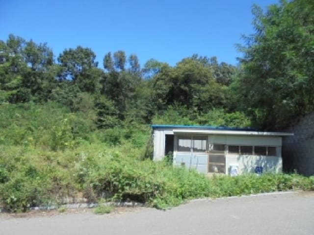B000270202501300044211.jpg