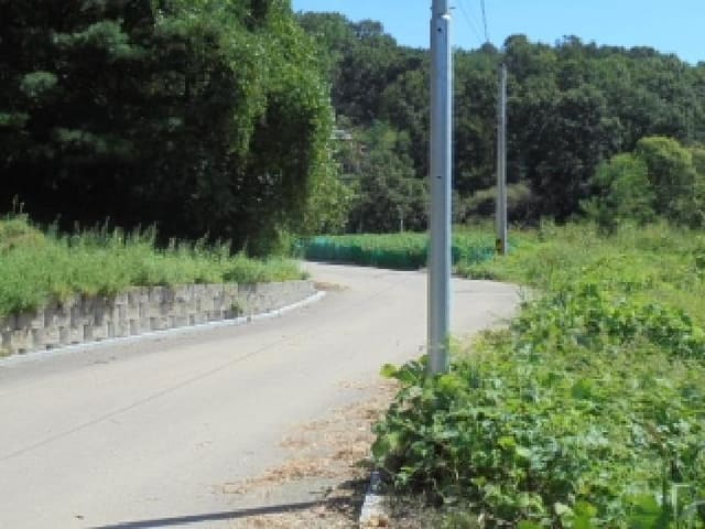 B000270202501300044214.jpg