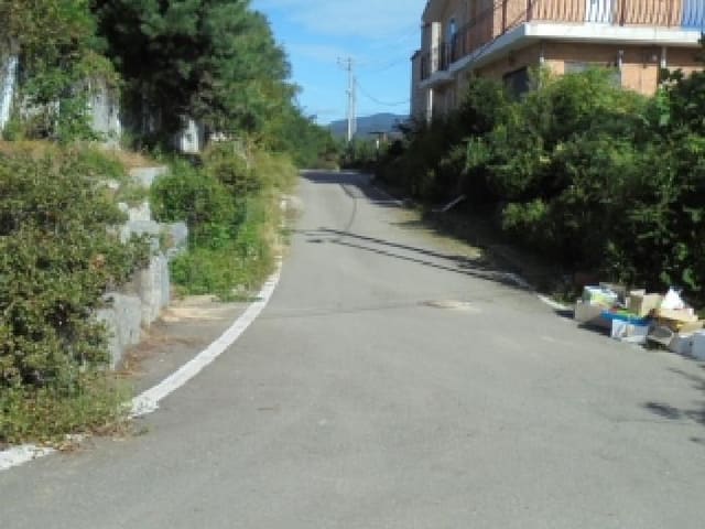 B000270202501300045754.jpg