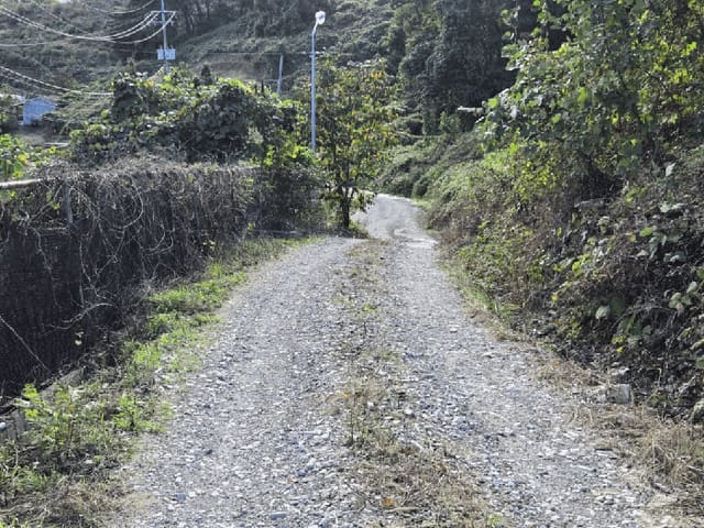 B0002702025013000495716.jpg