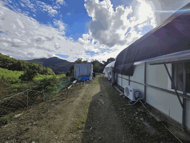 B0002702025013000495715.jpg