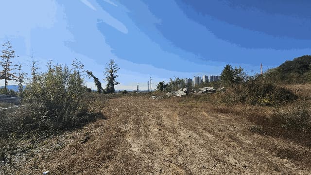 B000270202501300050974.jpg