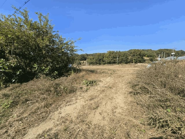 B000270202501300051654.jpg