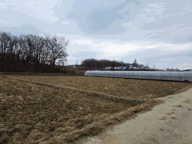 B000270202501300057073.jpg
