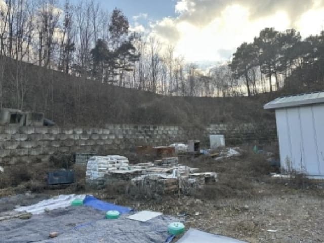 B000270202501300058444.jpg