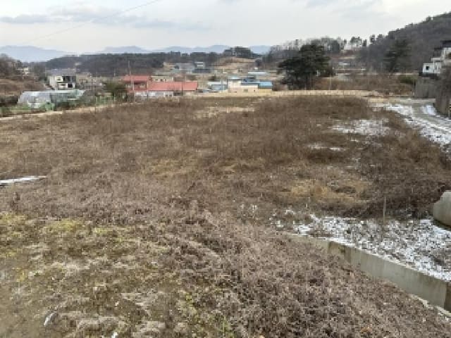 B000270202501300061061.jpg