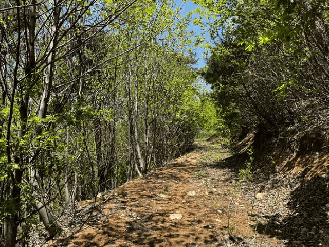 B000270202501300510394.jpg
