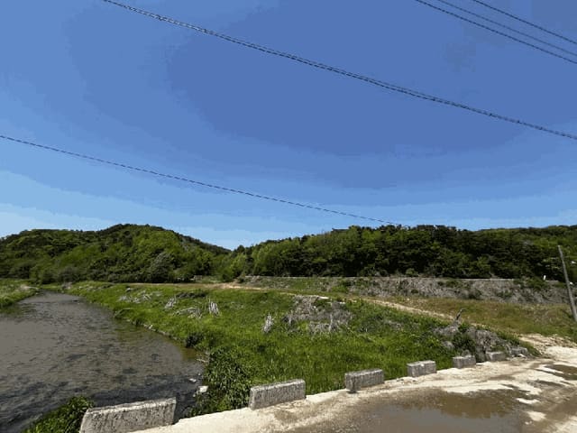 B000270202501300510393.jpg