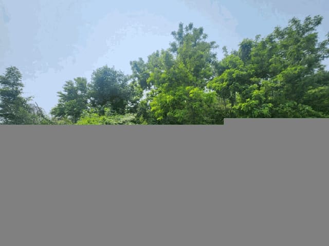 B000270202501300512702.jpg
