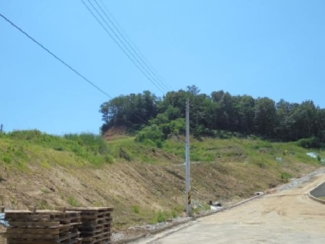 B000270202501300513642.jpg
