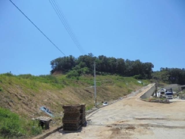 B000270202501300513641.jpg