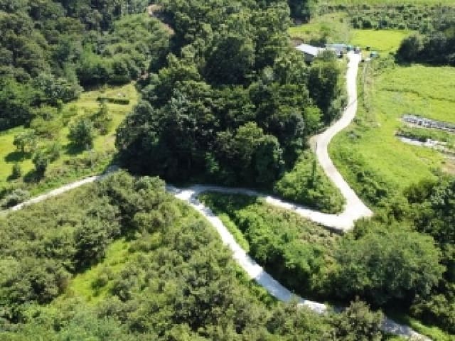 B000270202501300515311.jpg