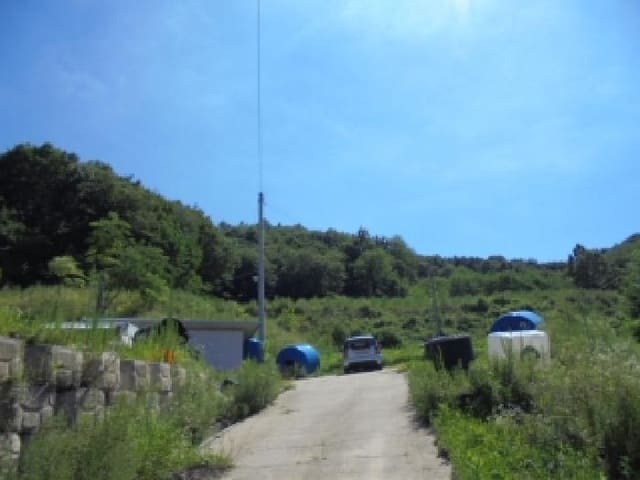 B000270202501300515312.jpg