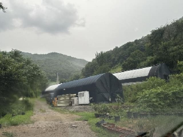 B000270202501300515361.jpg