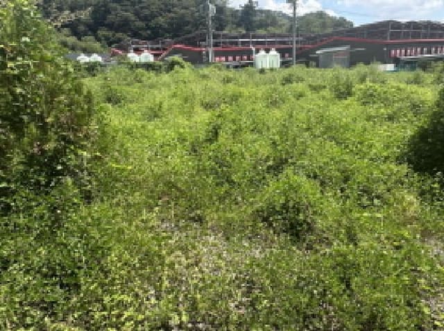 B000270202501300515721.jpg
