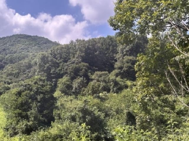 B000270202501300515774.jpg