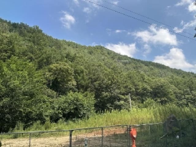 B000270202501300515771.jpg