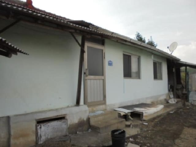 B000270202501300516372.jpg