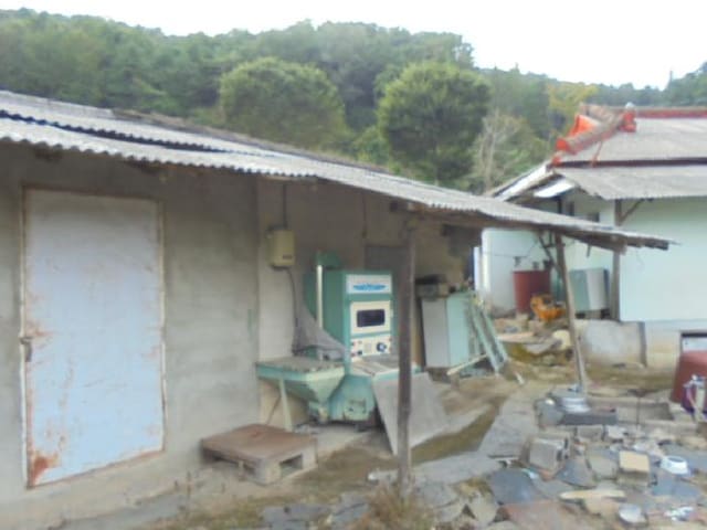 B000270202501300516374.jpg