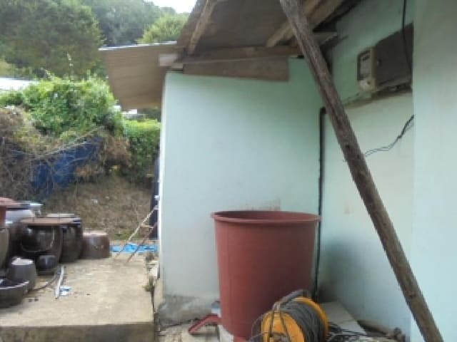 B000270202501300516373.jpg