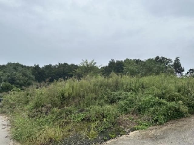 B000270202501300516891.jpg