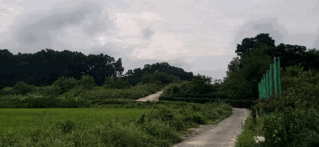 B000270202501300516894.jpg