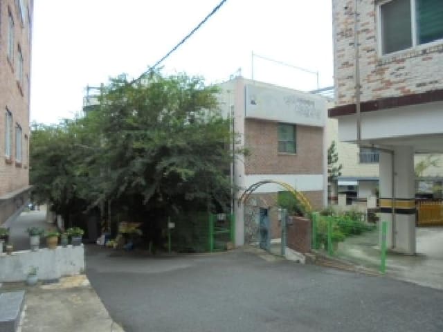 B000270202501300517462.jpg