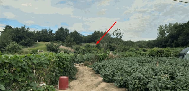 B000270202501300517754.jpg