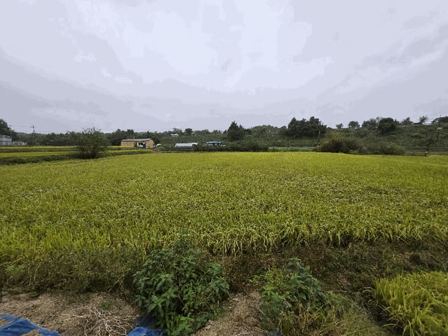 B000270202501300517813.jpg