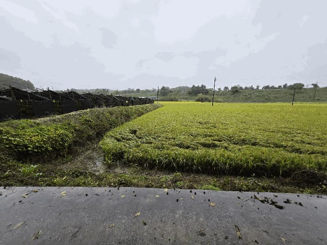 B000270202501300517814.jpg