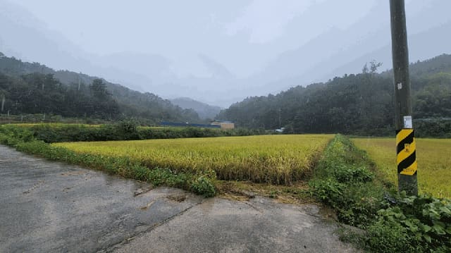B000270202501300517844.jpg