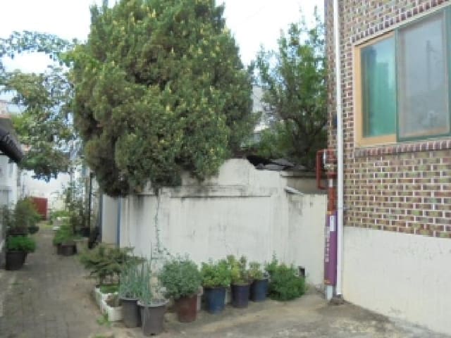 B000270202501300518171.jpg