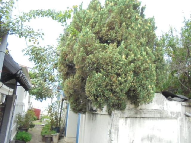 B000270202501300518174.jpg