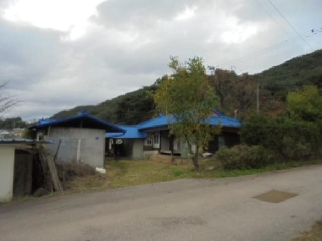 B000270202501300518391.jpg