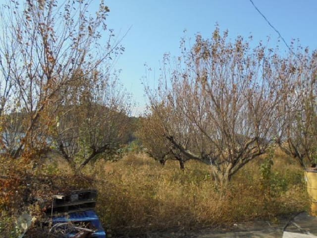 B000270202501300518633.jpg