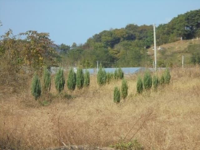 B000270202501300518632.jpg