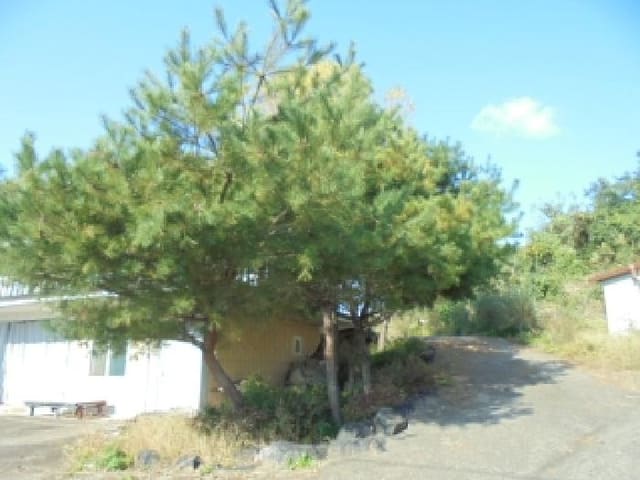 B000270202501300518631.jpg